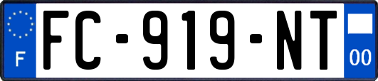 FC-919-NT