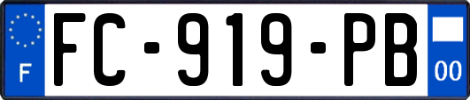 FC-919-PB