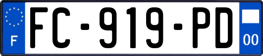 FC-919-PD