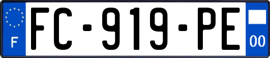 FC-919-PE