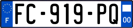 FC-919-PQ