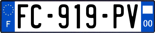 FC-919-PV