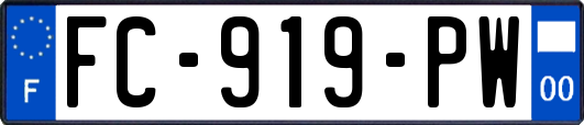 FC-919-PW