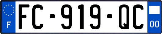 FC-919-QC