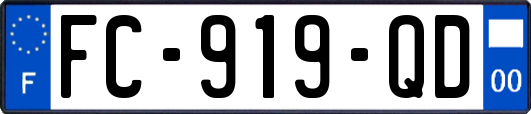 FC-919-QD