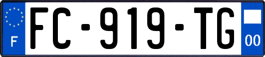 FC-919-TG