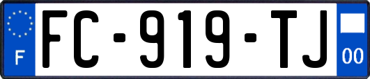 FC-919-TJ