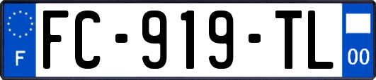 FC-919-TL