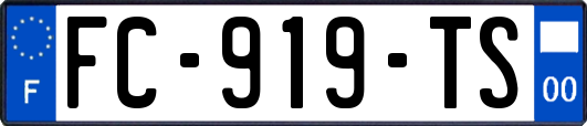FC-919-TS