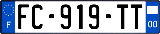 FC-919-TT