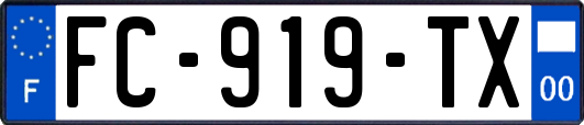 FC-919-TX