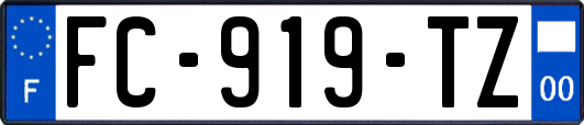 FC-919-TZ