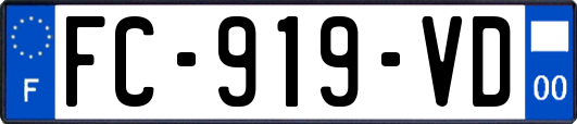 FC-919-VD