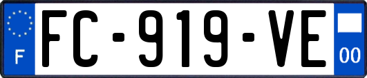 FC-919-VE