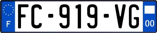 FC-919-VG