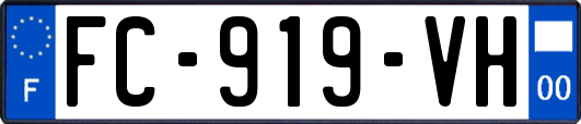 FC-919-VH