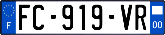 FC-919-VR