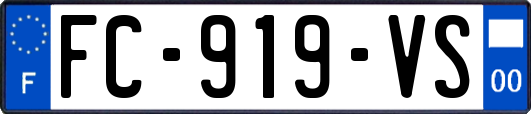 FC-919-VS
