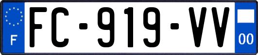 FC-919-VV