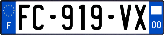 FC-919-VX