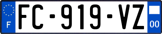 FC-919-VZ