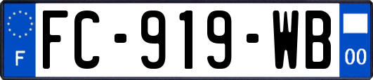 FC-919-WB