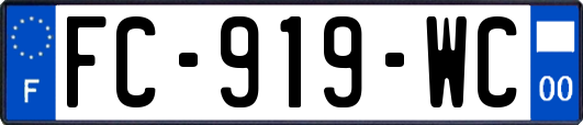 FC-919-WC
