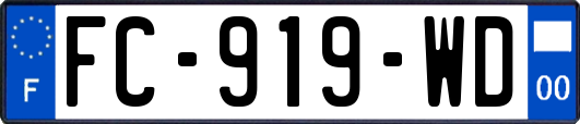 FC-919-WD