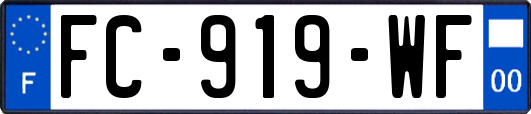 FC-919-WF