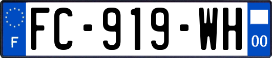 FC-919-WH