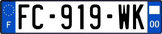 FC-919-WK