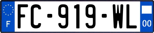 FC-919-WL