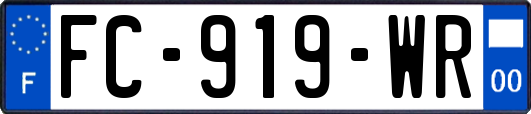 FC-919-WR