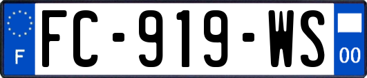 FC-919-WS