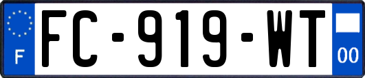 FC-919-WT