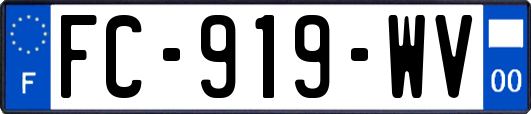 FC-919-WV