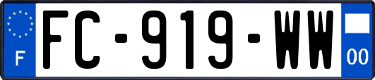 FC-919-WW