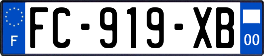 FC-919-XB