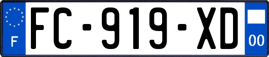 FC-919-XD