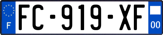 FC-919-XF