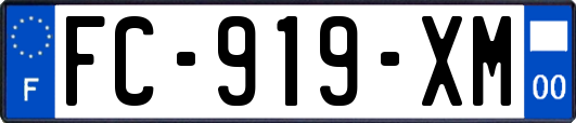 FC-919-XM