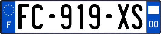 FC-919-XS
