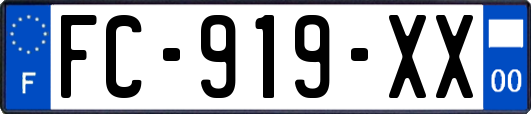 FC-919-XX