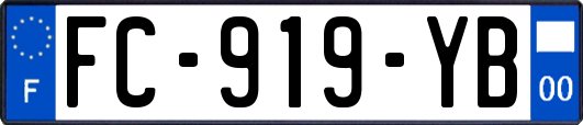 FC-919-YB