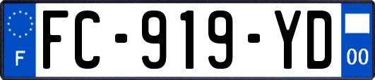 FC-919-YD