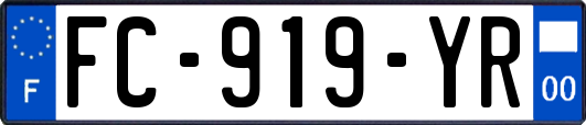 FC-919-YR