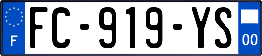 FC-919-YS