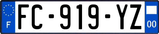 FC-919-YZ