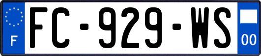 FC-929-WS