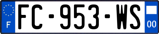 FC-953-WS